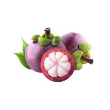 Mangosteen